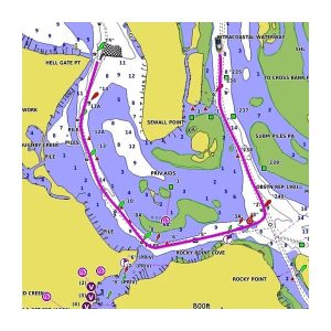 Carta Marina BlueChart® g3 - Garmin